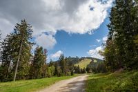Wandern im bayerischen Wald mit herrlicher Aussicht