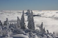 Arber Gipfel &uuml;be dem Nebel